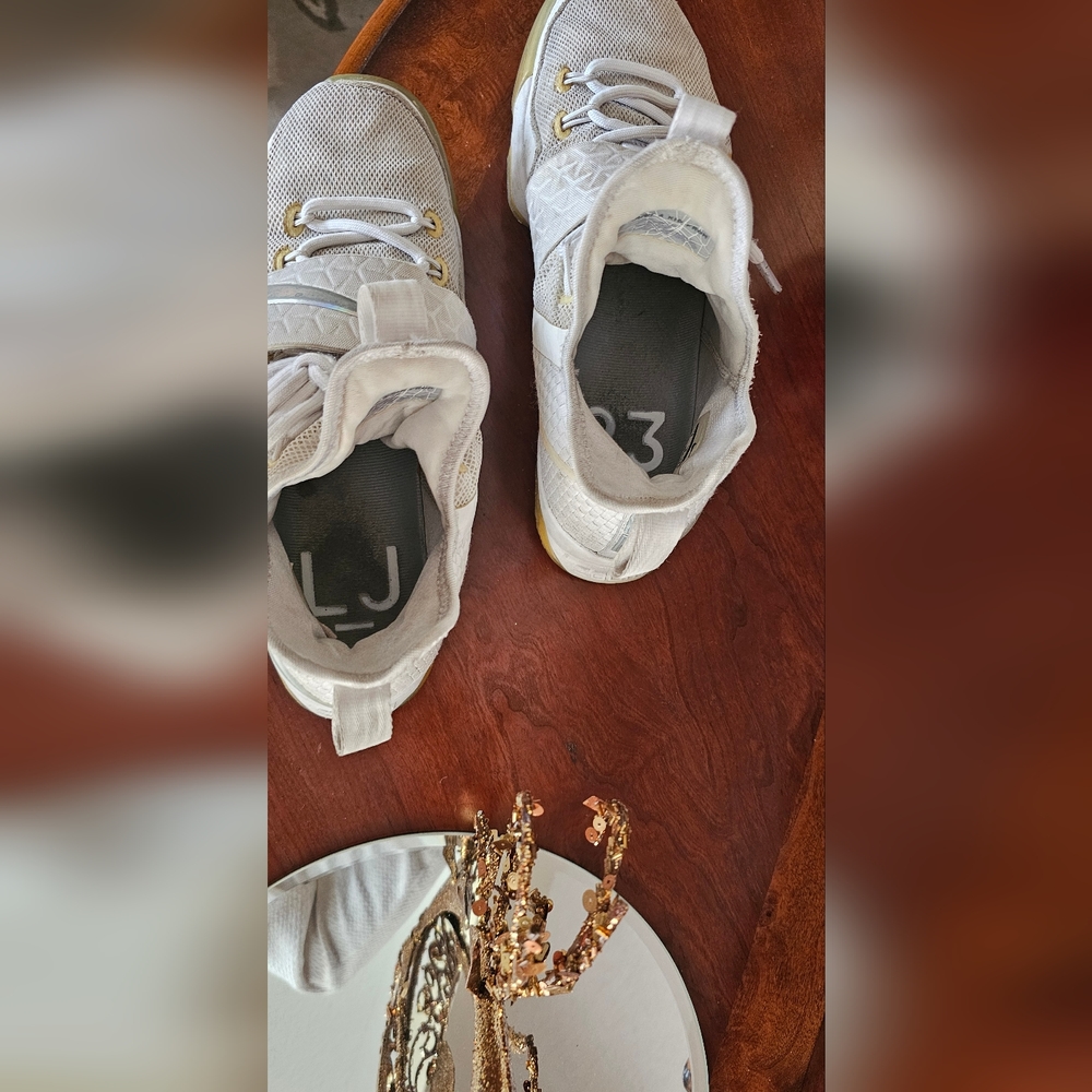 Nike Lebron shoes